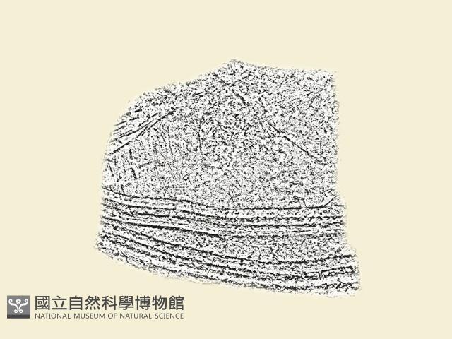 陶片藏品圖，第1張