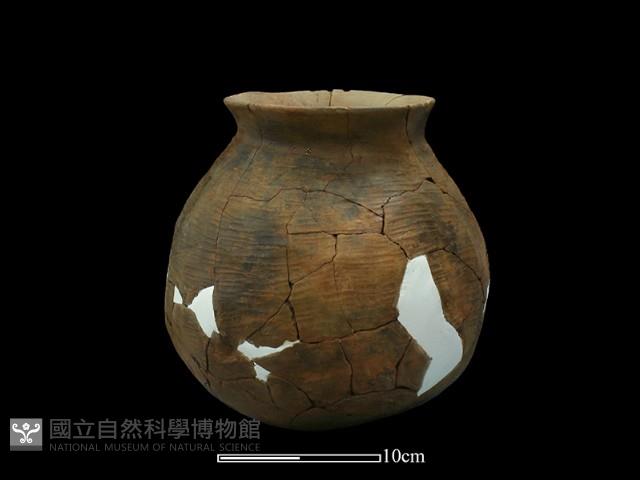 陶罐藏品圖，第3張