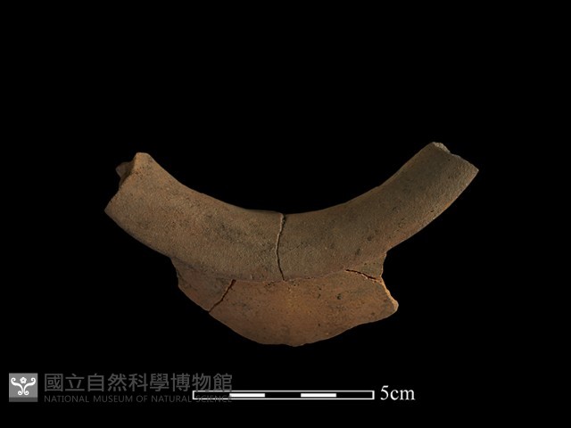 陶片藏品圖，第3張