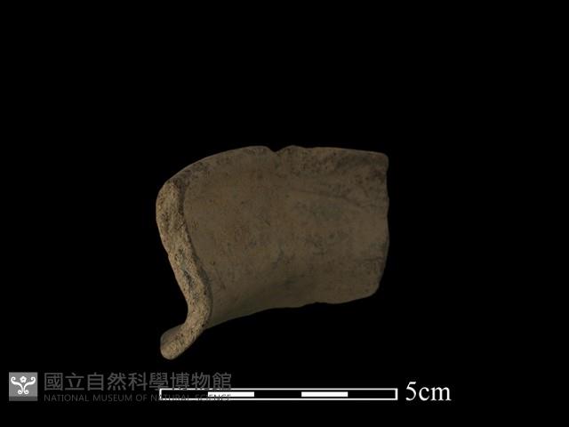 陶片藏品圖，第1張