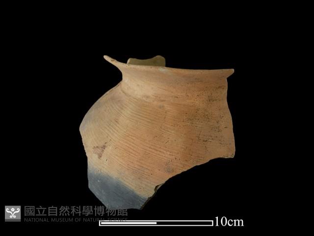 陶罐藏品圖，第3張