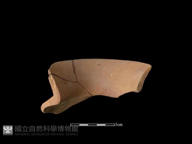 陶罐藏品圖，第3張