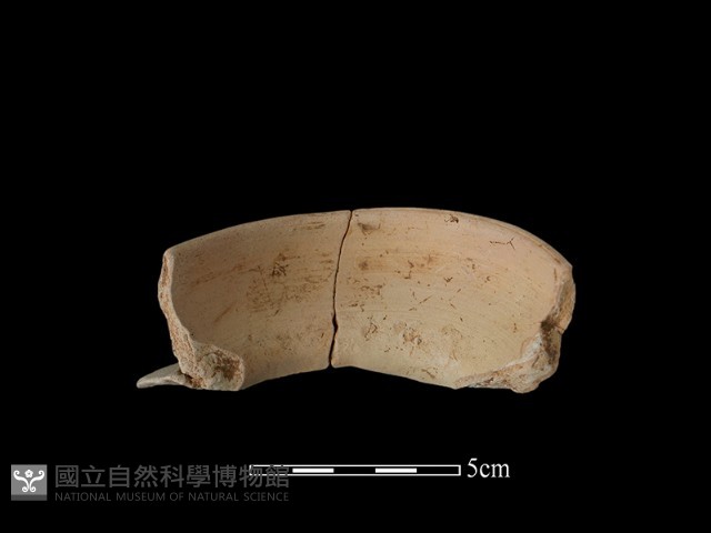 陶罐藏品圖，第3張