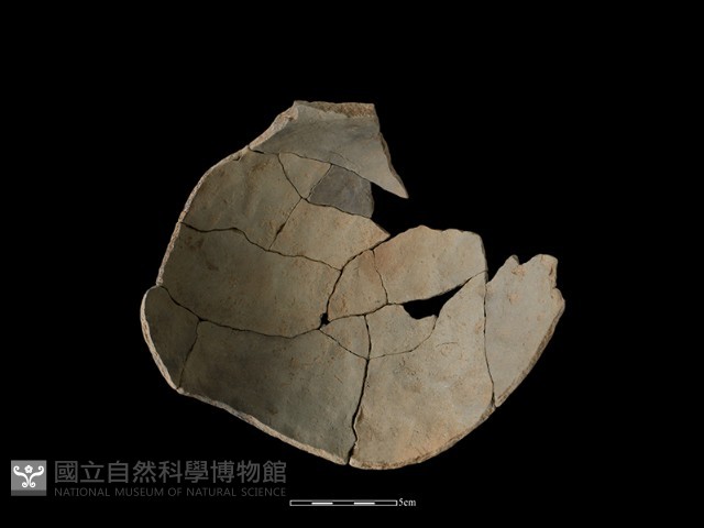 陶罐藏品圖，第1張