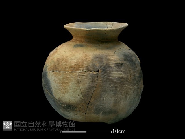 陶罐藏品圖，第4張