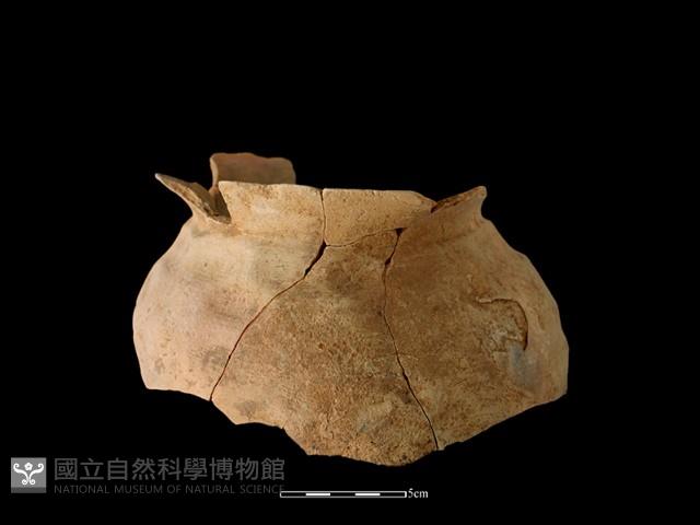 陶罐藏品圖，第3張