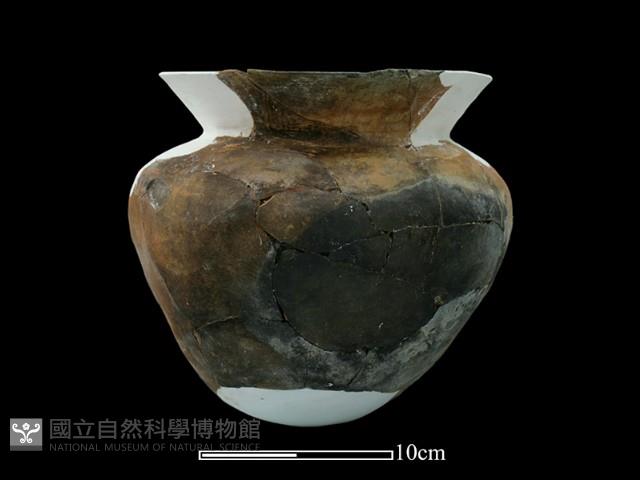 陶罐藏品圖，第3張