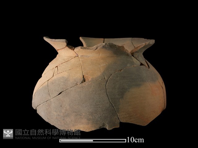 陶罐藏品圖，第4張