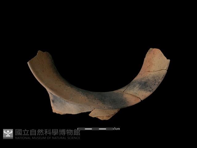 陶罐藏品圖，第1張