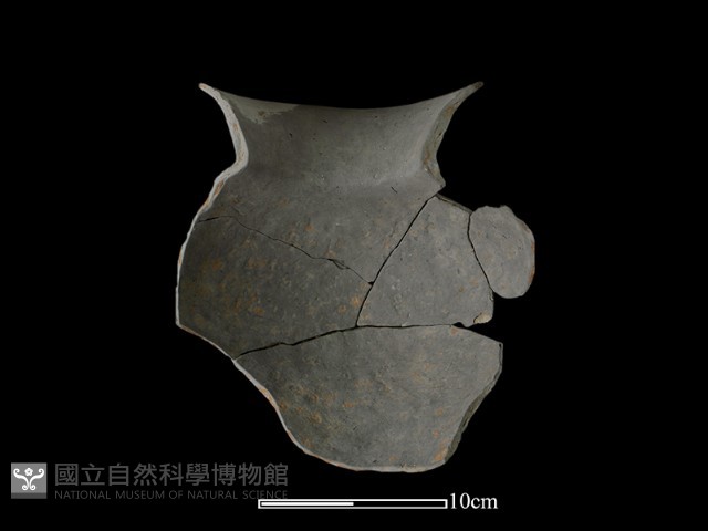 陶罐藏品圖，第3張