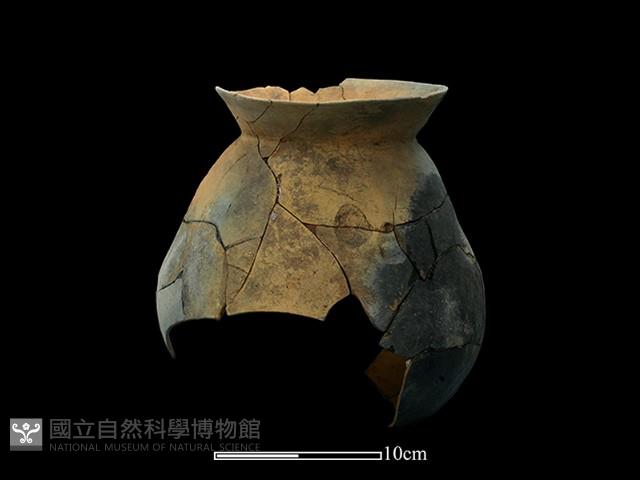 陶罐藏品圖，第4張