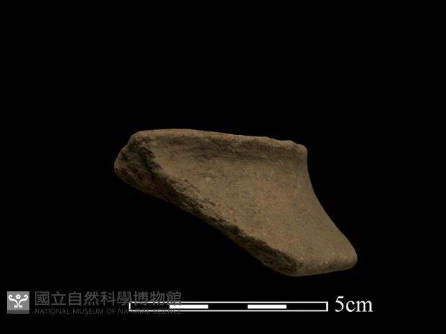 陶片藏品圖，第1張