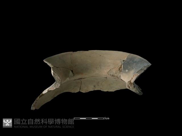 陶罐藏品圖，第3張