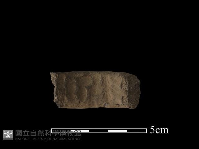 陶把藏品圖，第3張