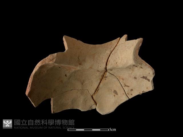 陶罐藏品圖，第3張