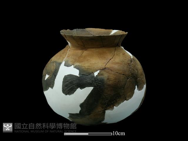陶罐藏品圖，第3張