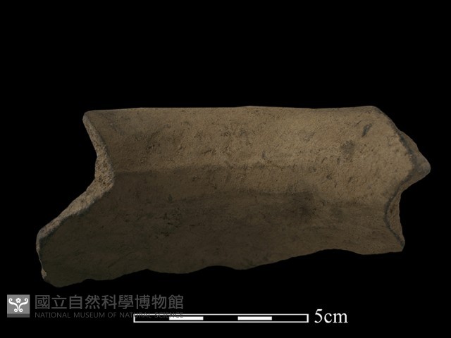 陶片藏品圖，第1張
