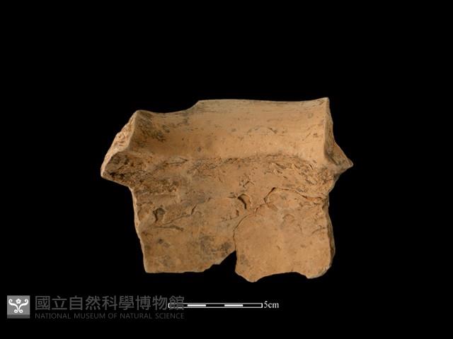 陶罐藏品圖，第3張