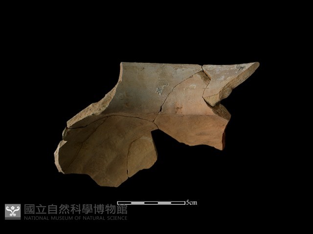 陶罐藏品圖，第3張
