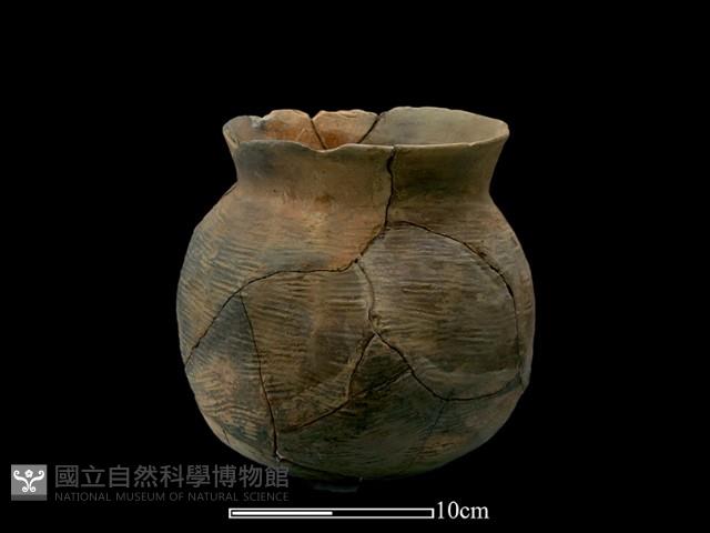 陶罐藏品圖，第4張