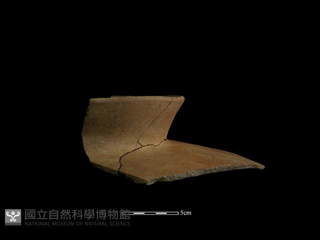 陶片藏品圖，第6張