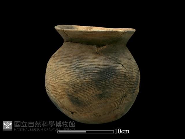 陶罐藏品圖，第4張