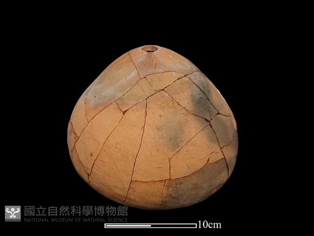 陶甑藏品圖，第4張