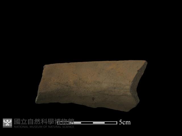 陶片藏品圖，第4張