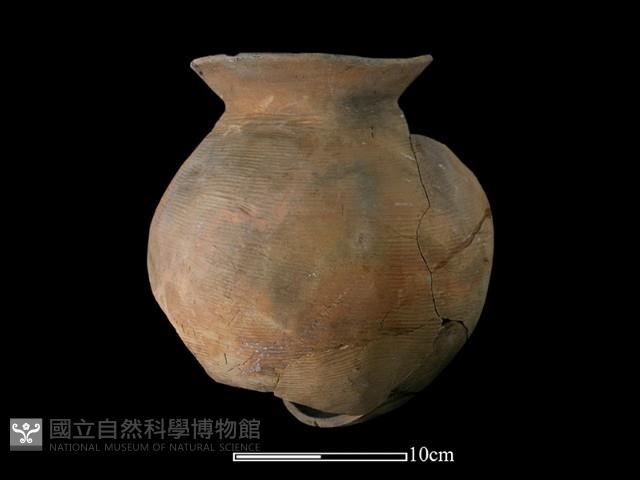 陶罐藏品圖，第4張