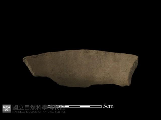 陶片藏品圖，第4張