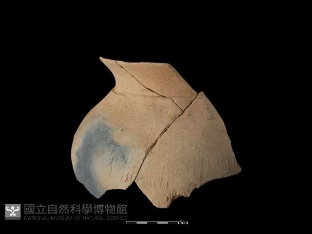 陶罐藏品圖，第4張