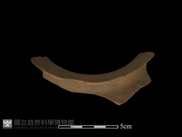 陶片藏品圖，第4張