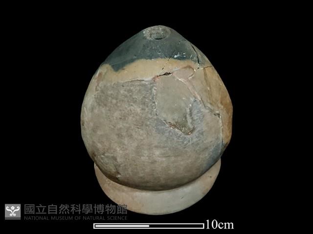 陶甑藏品圖，第1張