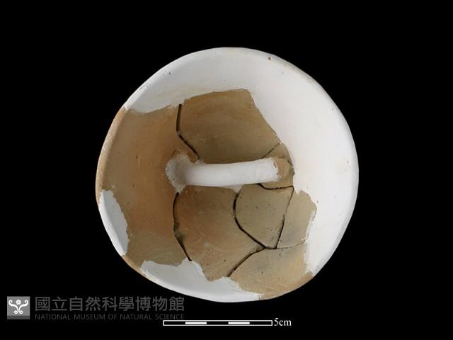 陶蓋藏品圖，第1張