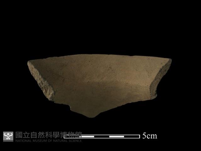 陶片藏品圖，第4張