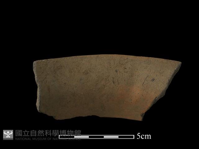 陶片藏品圖，第1張