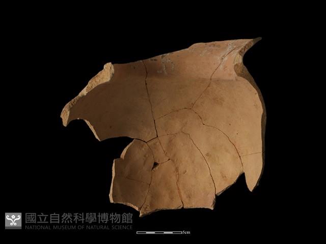 陶罐藏品圖，第1張