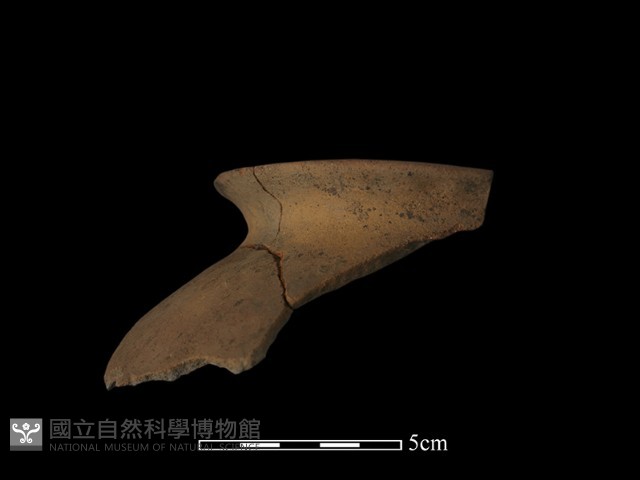 陶片藏品圖，第4張