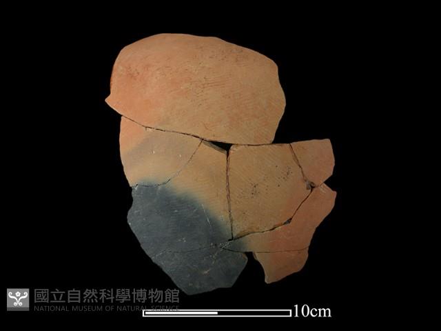 陶罐藏品圖，第4張