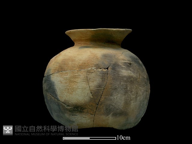 陶罐藏品圖，第5張