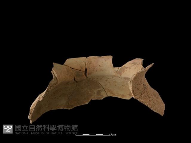 陶罐藏品圖，第4張