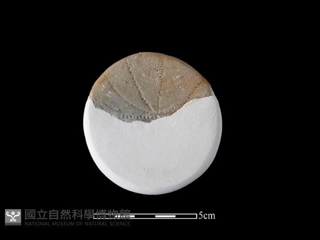 陶杯藏品圖，第4張