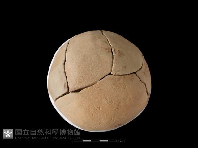 陶缽藏品圖，第4張