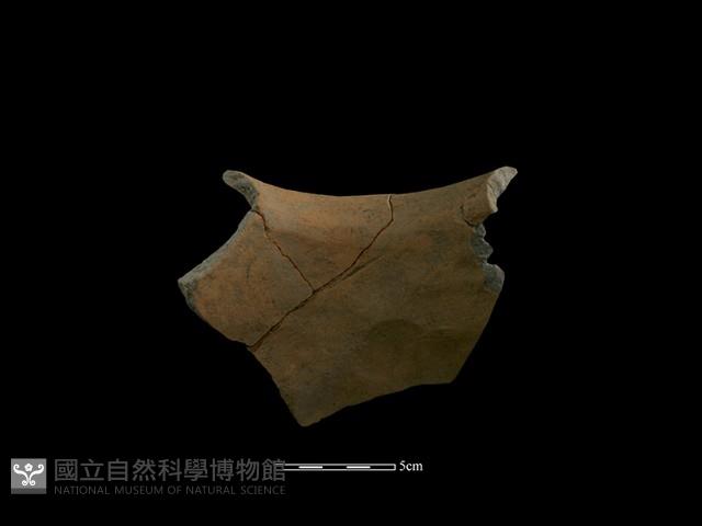 陶片藏品圖，第4張