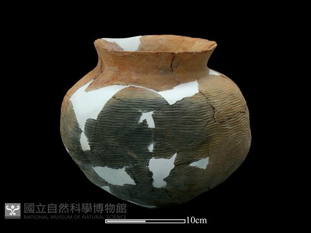 陶罐藏品圖，第4張