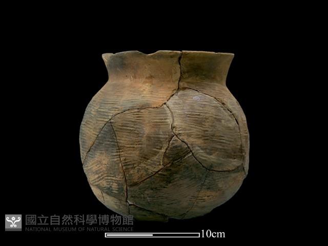 陶罐藏品圖，第1張