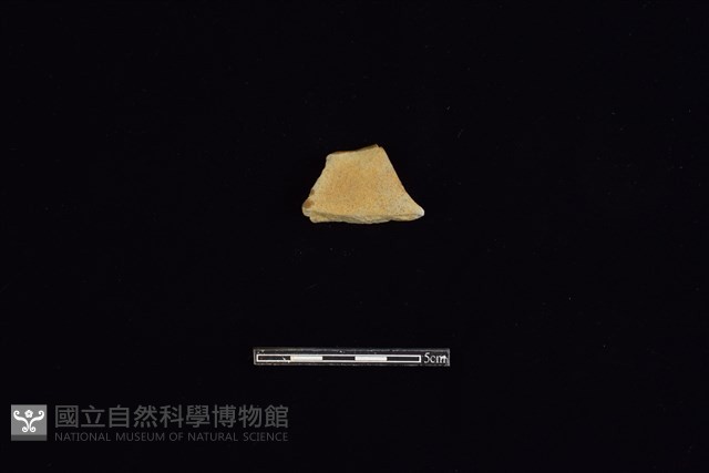 石刀藏品圖，第1張
