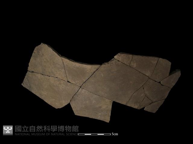 陶片藏品圖，第2張