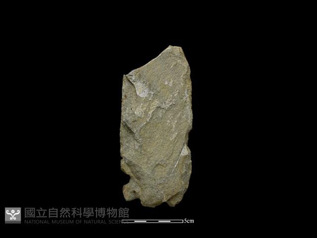 Accession Number:PTP-2014-092 Collection Image, Figure 2, Total 2 Figures