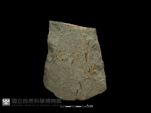 斧鋤形器藏品圖，第2張